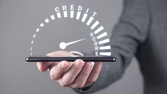 build-your-credit-score