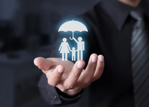 stefto website images 2 2