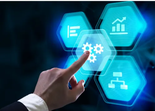 stefto website images 2 4