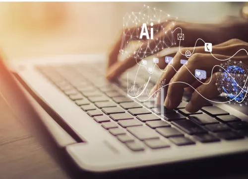 stefto website images 3 3